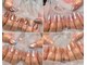 イロハ(IROHA)の写真/丁寧な施術で叶える理想の指先を追求。大人可愛い上品なデザインを貴方に届ける♪