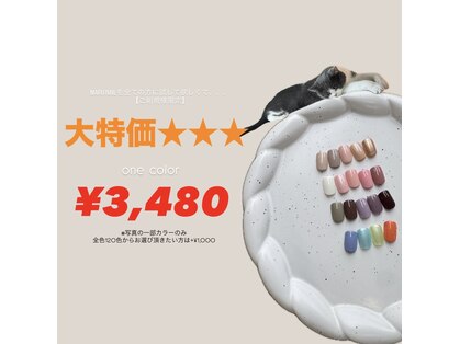 マルネイル 新宿店(MARU NAIL)の写真