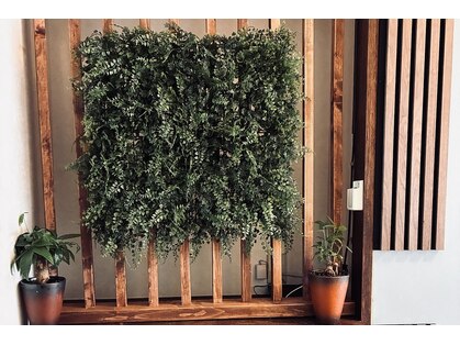 クービューティー(kuu beauty)の写真