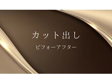 ペリー(PELLY)/カット出し