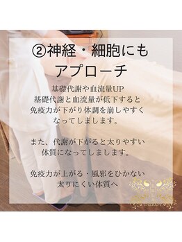 テスラテラピーストア(TESLA THERAPY STORE)/肩こり/腰痛/更年期/眼精疲労