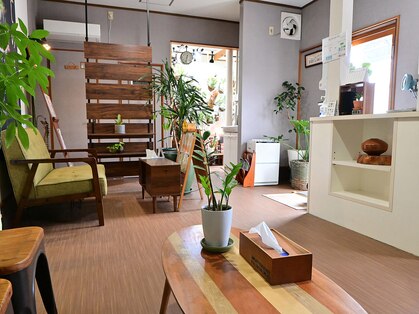 癒しの盛の写真