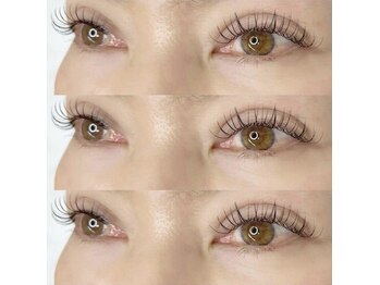 グラッド(GLAD)/フラットラッシュ120本