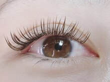 ルーナ ラッシュ(Luna lash)