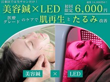 やなけん 亀戸店