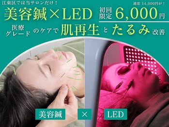 やなけん 亀戸店