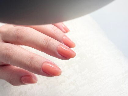 サニロ(sun+iro)の写真