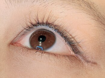 レミア 関内(REMIA)/３月　ブラウンカラー