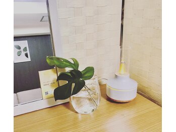 ミューズスタイル(muse style)/グリーンのある空間