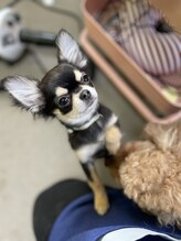 おうちサロン 祐天寺&nbsp;桃瀬 