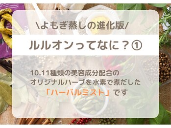 ヨサパーク ルポ(YOSA PARK ropos)/ルルオンってなに?1