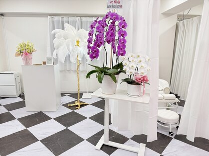 ガーデン(Garden)の写真