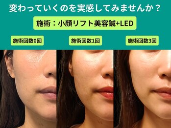 やなけん 亀戸店