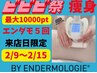 【ビビビ祭】エンダモロジーがお得!★期間限定★