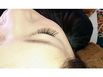 ラクトゥール(Lacteur)/フラットセーブル●140本