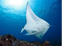 アジアンリラクゼーション ヴィラ 大橋店(asian relaxation villa)/バリ：ペニダ島