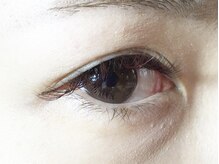 レミア 関内(REMIA)/３月　ワインレッド