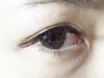 レミア 関内(REMIA)/３月　ワインレッド