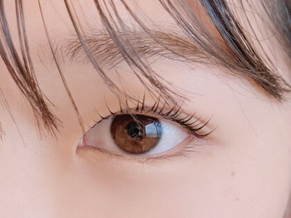 アンジェリーク(Angelique)の写真