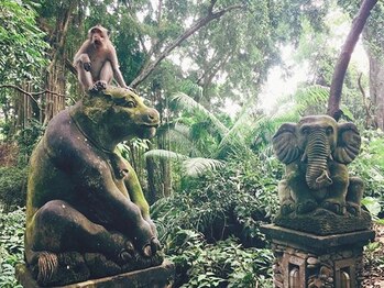 アジアンリラクゼーション ヴィラ 大橋店(asian relaxation villa)/バリ島 モンキーフォレスト