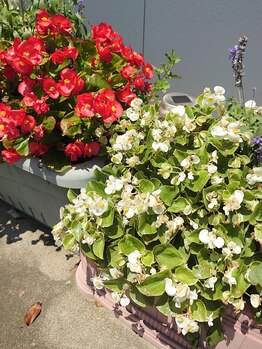 治療院セイメイ(SEIMEI)/店頭前!