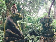 アジアンリラクゼーション ヴィラ 福岡東店(asian relaxation villa)/バリ島　モンキーフォレスト