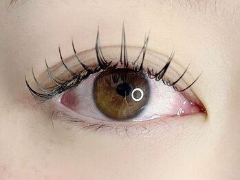 カミエ(Kamie)/フラットラッシュ160本