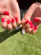 クレー(Klee)/美ワンカラー