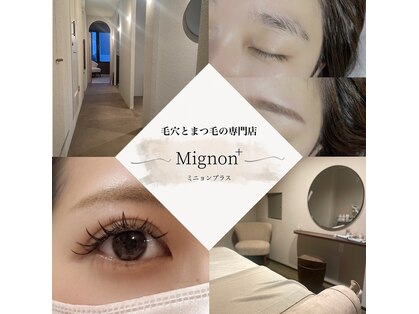 ミニョンプラス(Mignon+)の写真