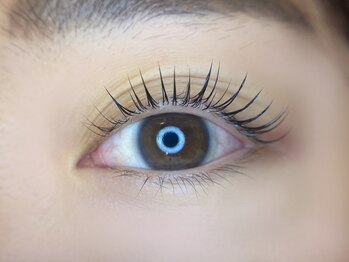 トレア(TREA)/まつげパーマ