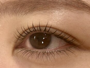 ラッシュテイラー(Lash Tailor)の写真/新宿の隠れ家サロンで心も目元もリフレッシュ♪今だけのお得な記念キャンペーン実施中！駅近で通いやすさ◎
