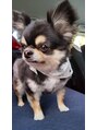 エルシャイン(L-shine) 犬派です！実家のワンちゃんです★