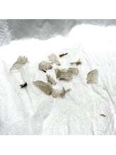 アンフェム(Anfem)/ローマピンク☆皮むけ