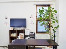 プラスミー(+me)の雰囲気（清掃や換気を徹底。観葉植物で癒されるプライベート空間。）