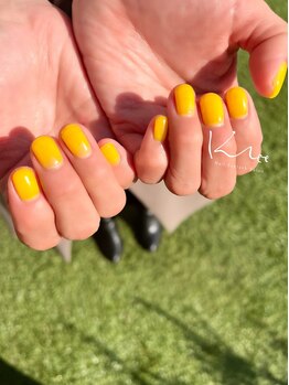 クレー(Klee)/美ワンカラー