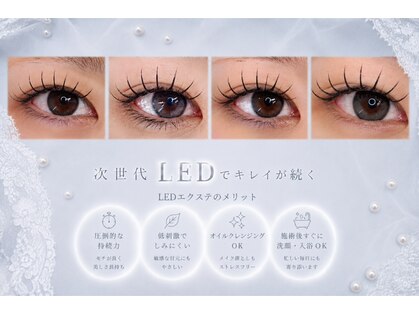 ヴェラ(Vela)の写真