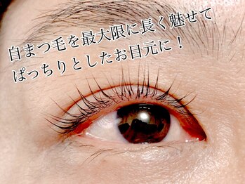 ビビデバビデ(Vivide Vavide)/【まつ毛パーマ】パリジェンヌ