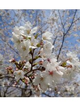 リン 長崎 諫早(Rin)&nbsp; 前田 敦子