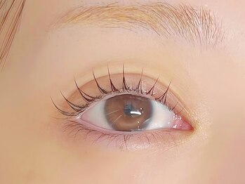 ルシアラッシュブロウ 新宿(LUCIA LASH BROW)/マスカラパーマ