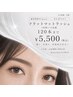 【8/21まで限定】フラットラッシュ1時間付け放題～120本まで￥5500