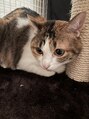 神戸はりのわ鍼灸院&nbsp;動物大好きです(^^)実家には猫と犬います！