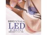 【LEDエクステ】フラットラッシュ100本 ¥5500