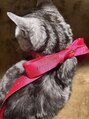 ブルーウィンク(Blue Wink.) かわいい猫様と暮らしてます♪