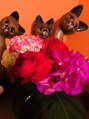 ビューティーソース マーベラス 名古屋店(Beauty Source Marvelous) お店の玄関でお客様をお待ちする三匹の猫、お気に入りです。