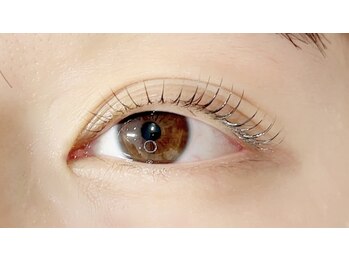 アミューズラッシュ(Amuse Lash)/