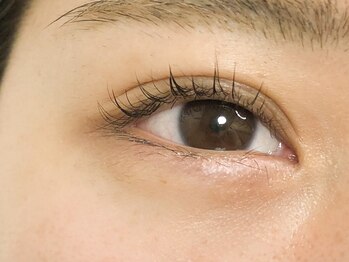 リジュベ(Rejuve)/パリジェンヌラッシュリフト