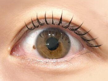 アイラッシュアンドアイブロウ ラブリム(LOVERIM)/バインドロック60束