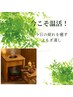 【今こそ温活！】デトックス蒸し★鬼発汗スッキリコース50分