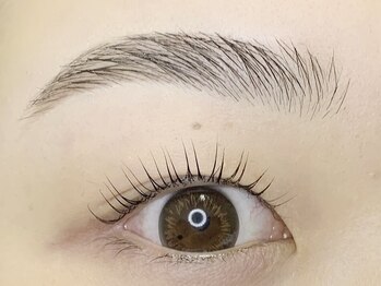 ケーズラッシュ(K's LASH)/眉毛WAX&まつ毛パーマ