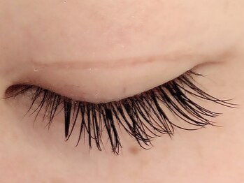 カラン 焼津店(CALIN)/ブラウンラッシュ100本